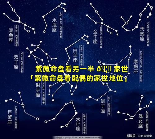 紫微命盘看另一半 🦊 家世「紫微命盘看配偶的家世地位」